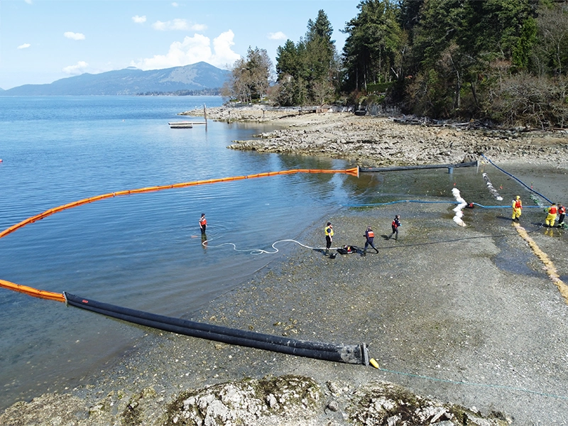 Beach clean plastics
