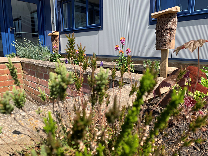 Bug hotel and garden