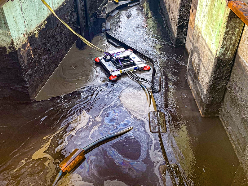 Star Disc Midi Skimmer