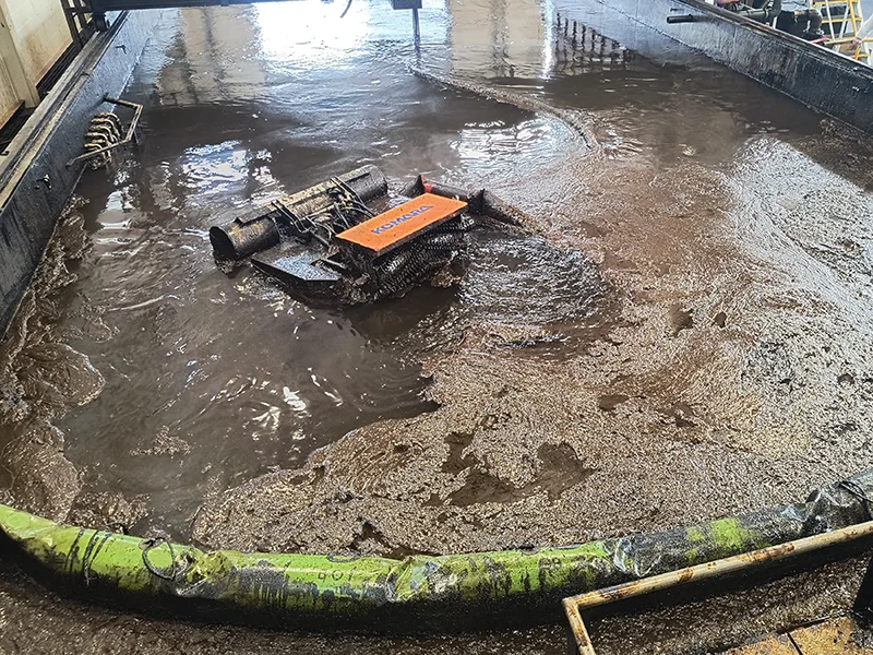 Omni 134748833 800x600