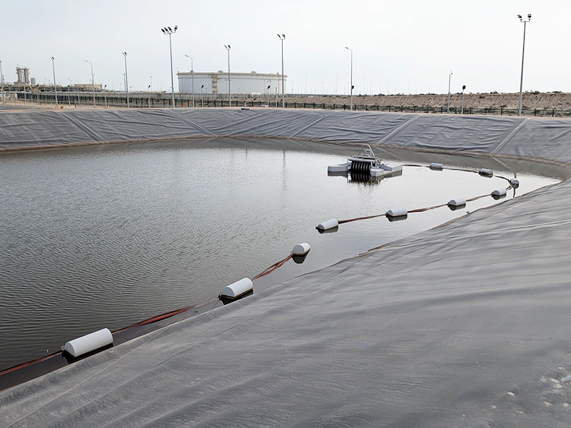 PXL_20250406_051554288_800x600web