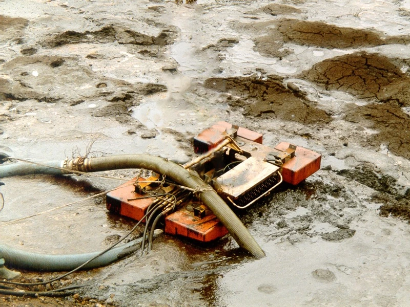 Sea Devil in pit Belgium