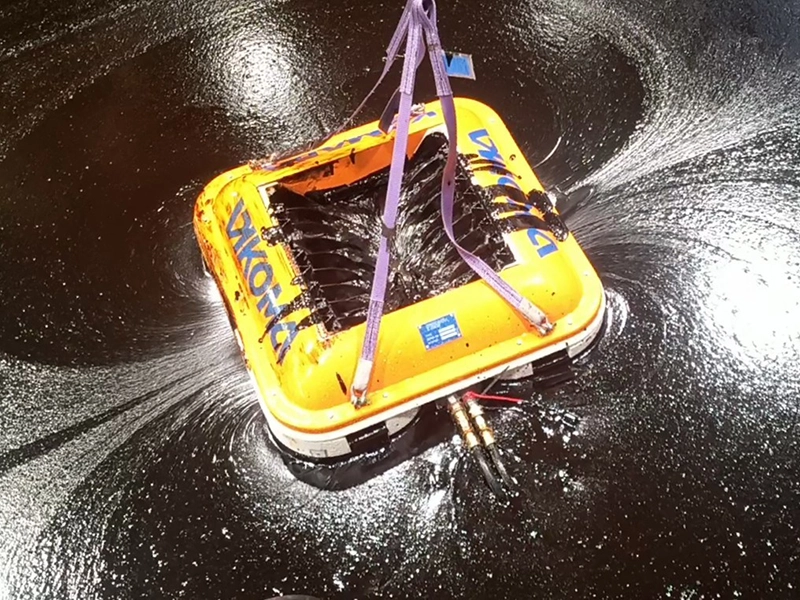 VID 20241029 161519950.mp4.00 00 06 01.Still003 crop 800x600