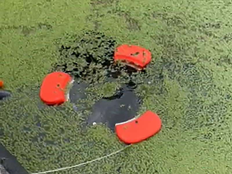 Weed Skimmer - Picture 2 Weed Skimmer collecting duckweed